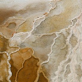 Detail Mammoth Hot Springs van Lisa Poelstra