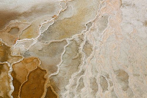 Detail Mammoth Hot Springs