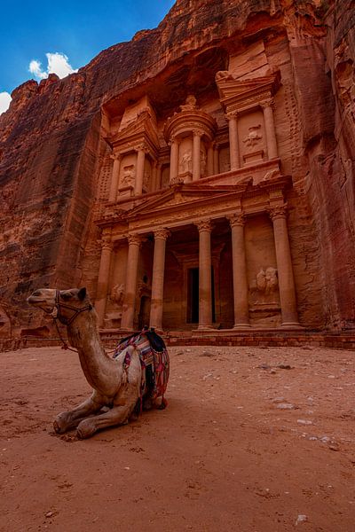 The treasury by Mark Lenoire