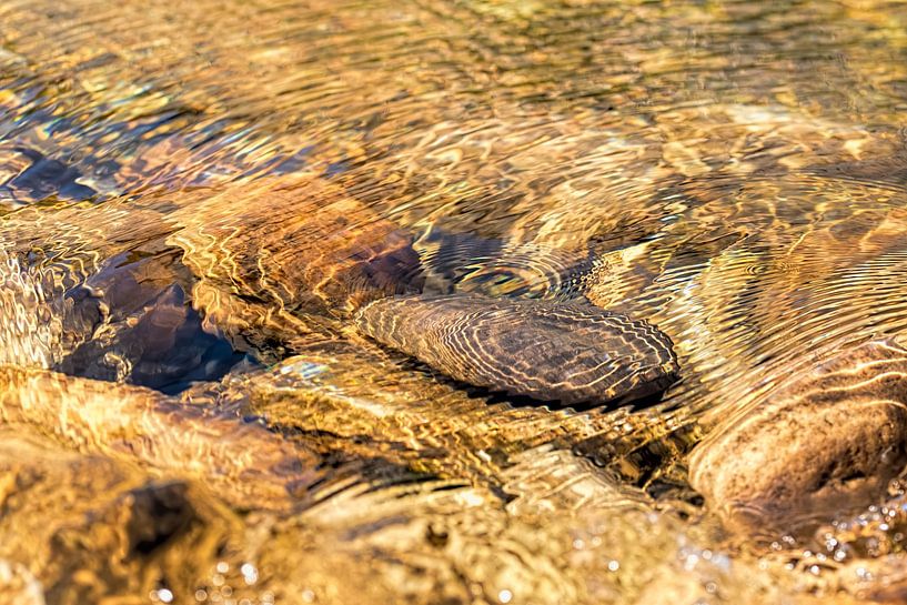 Pierres dans la rivière par Mariëro Fotografie