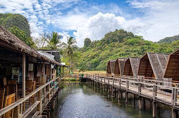 Wooden huts in the Jungle. by Floyd Angenent