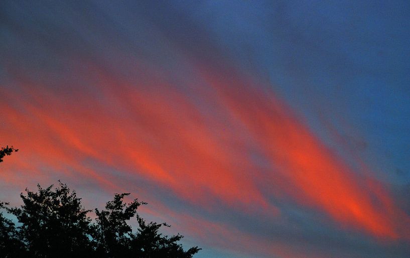 Feestje in de lucht by Luc van Alphen
