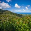 Mauritius - Blick vom Alexandra Falls Viewpoint von t.ART
