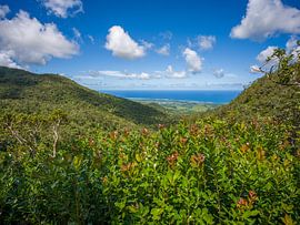 Mauritius - Blick vom Alexandra Falls Viewpoint von t.ART