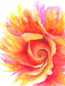 Vlammende roos aquarel schilderij van Karen Kaspar
