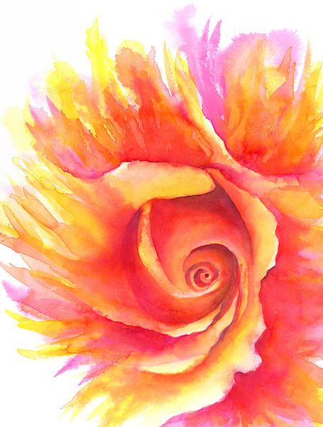 Flammende Rose Aquarellgemälde von Karen Kaspar
