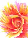 Flammende Rose Aquarellgemälde von Karen Kaspar Miniaturansicht