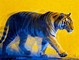 Bengal Tiger in Bewegung von A.D. Digital ART