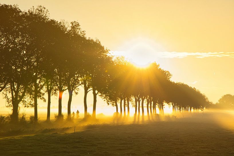 Radfahrer im Nebel auf dem Mendosideweg in Hensbroek von peterheinspictures