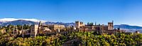 Panorama World Heritage Moorish Fortress Alhambra in Granada Spain by Dieter Walther thumbnail