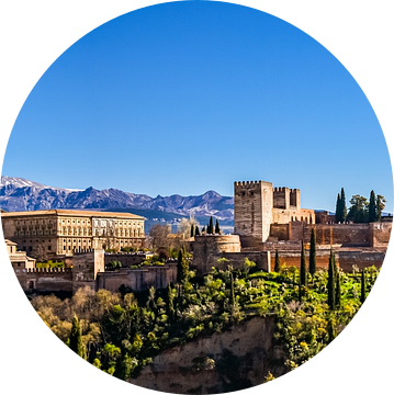 Panorama werelderfgoed Moors fort Alhambra in Granada Spanje van Dieter Walther