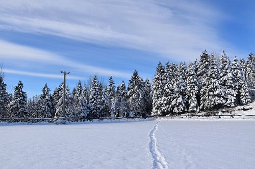 De recreatieve speeltuin in de winter