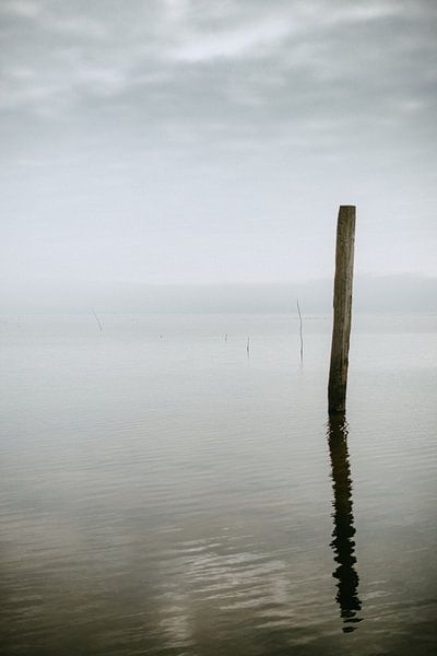 Meereslandschaften 2.0 VII von Steven Goovaerts