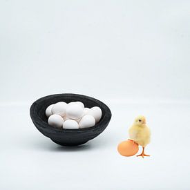 Humorvol stilleven met eieren . Titel Choices . van Saskia Dingemans