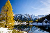 Lac de montagne en automne par Coen Weesjes Aperçu