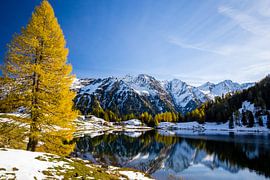 Duisitzkarsee im Herbst von Coen Weesjes