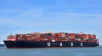 UASC Al Dhail in the harbour by Piet Kooistra thumbnail