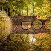 Verstilde herfst reflectie in een kleurrijk pallet van @ GeoZoomer