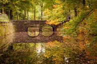 Verstilde herfst reflectie in een kleurrijk pallet van @ GeoZoomer thumbnail