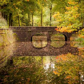 Verstilde herfst reflectie in een kleurrijk pallet van @ GeoZoomer