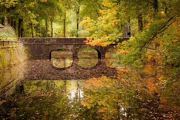 Verstilde herfst reflectie in een kleurrijk pallet