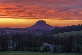 Lever du soleil au Lilienstein, en Suisse saxonne sur naturfotografie angela linnemann
