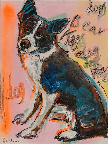 Karelische berenhond