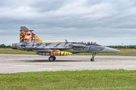 Czech Saab JAS39 Gripen during NTM 2017. by Jaap van den Berg thumbnail