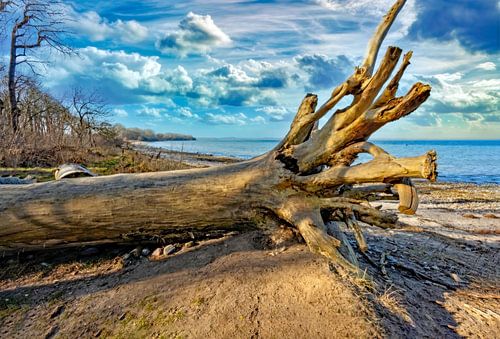 November atmosphere on the Baltic Sea beach