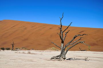 Sossusvlei (Deathvlei) Namibië (Namib-Naukluft Park van Merijn Loch