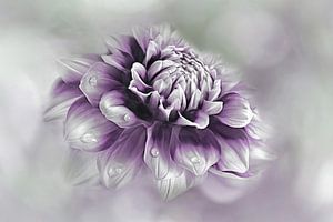 Simple blossom #7