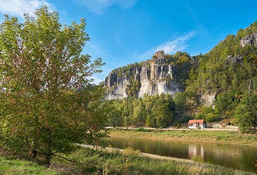 Rotsformatie bij het dorp Rathen aan de oever van de rivier de Elbe in het Elbsansteingebirge
