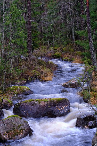 Running water sweden by Geertjan Plooijer