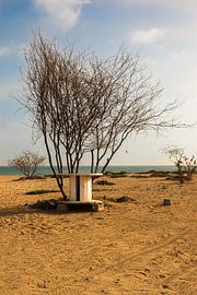 Strand Kaapverdie by Jehee Fotografie