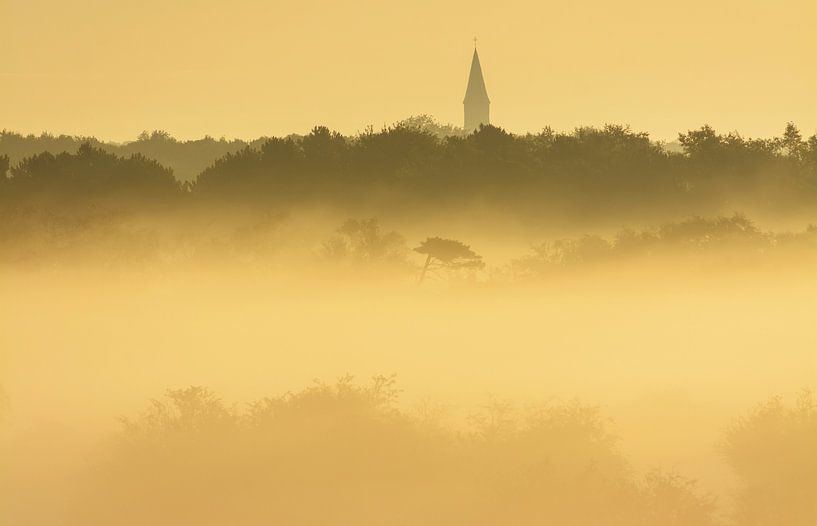 Neblige Landschaft von Remco Van Daalen