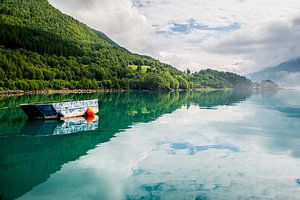 Boot auf einem See in Norwegen von Ellis Peeters