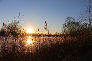 Untergehende Sonne an einem gefrorenen See von Audrey Nijhof