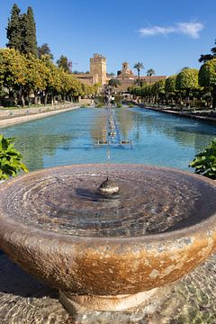 Alcazar de Cordoba van Leticia Spruyt