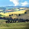 De glooiende heuvels van Toscane! van Truus Nijland