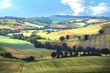 Die sanfte Hügellandschaft der Toskana! von Truus Nijland