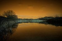 Magische Reflexionen