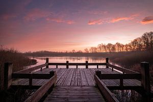 La Grande Peau sur Jeroen Mikkers