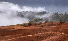 Stunning Landscape of Agulo, La Gomera With Misty Clouds Embraci by PhotoCluster