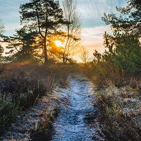 Zonsopkomst in Buurse van Jeroen Brasz