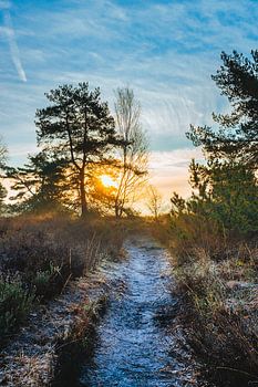 Sonnenaufgang in Buurse