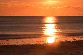 On the beach of Blåvand at sunset by the sea by Martin Köbsch