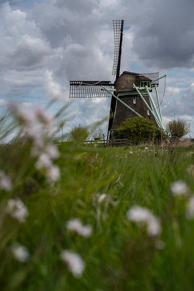 Mühle P bei Oudesluis von Manuuu
