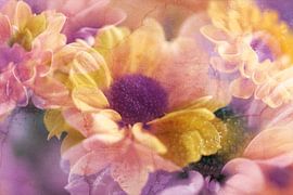sommerTraum