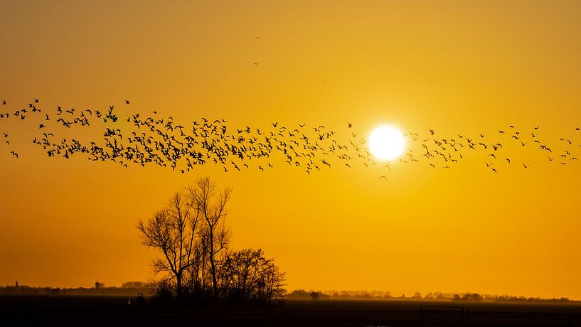 Zonsondergang bij Woerden par Floris van Woudenberg