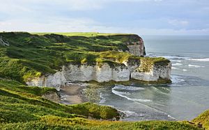 Les falaises de Flamborough Head